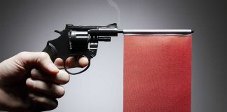 red flag gun laws