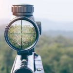 Rifle scope aiming at a distant tree.