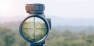 Rifle scope aiming at a distant tree.