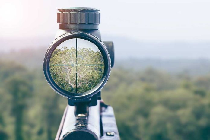 Rifle scope aiming at a distant tree.