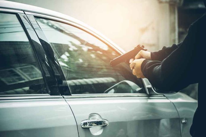 Person pointing gun at a car window