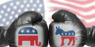 Boxing gloves with political party symbols.