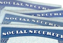 Several Social Security cards