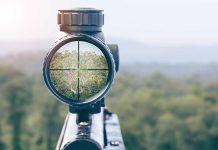 Rifle scope aiming at a distant tree.