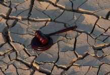 Gavel on cracked, dry ground